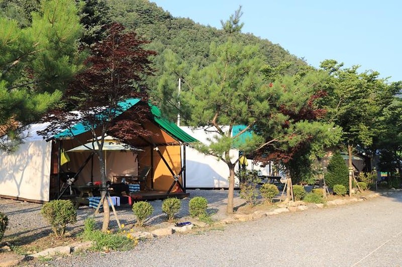 아빠의 캠핑장 대표 사진
