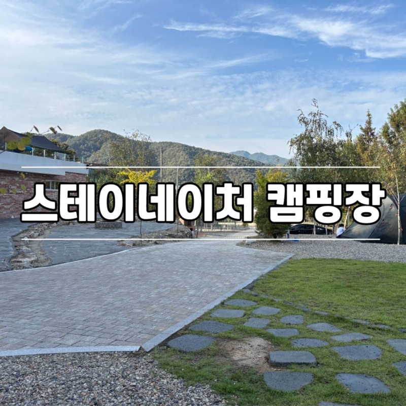 [스테이네이처] :: 양평 신생 캠핑장, 메타세콰이어 숲 캠핑장 추천