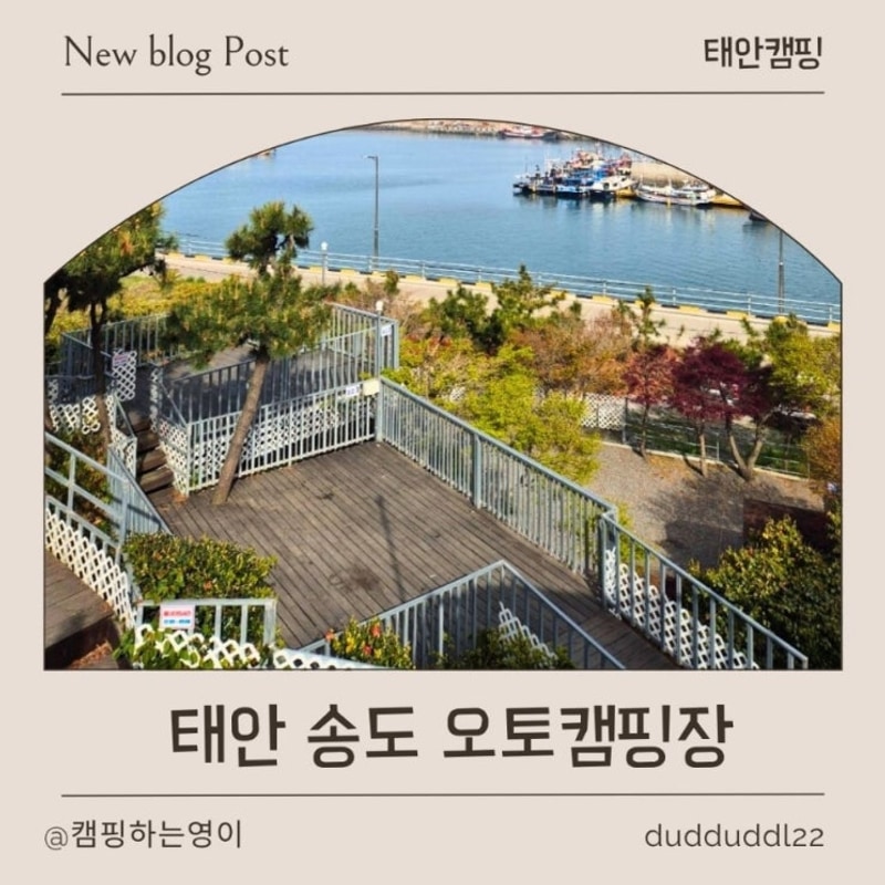 태안 송도오토캠핑장 이용 후기 - 바다뷰 캠핑 낚시 정보까지