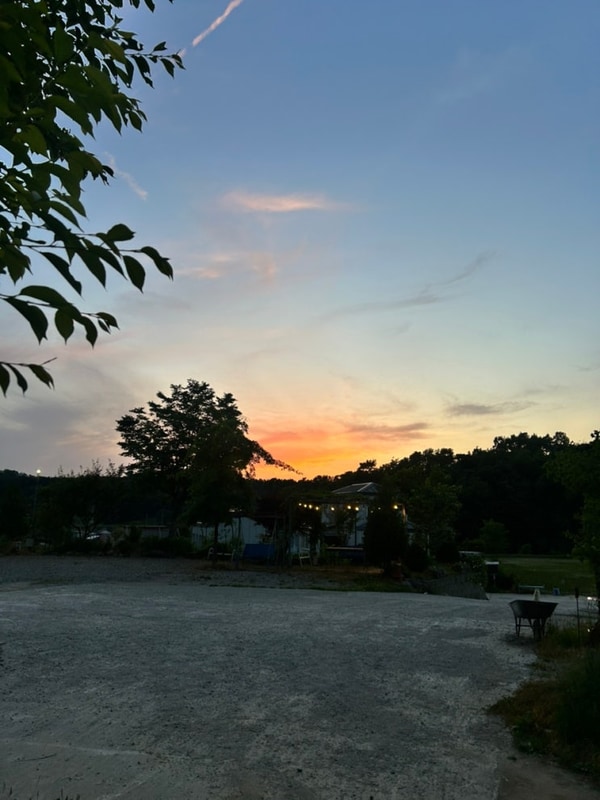 이천 소규모장 캠핑 스테이272 캠핑장 파인2 사이트 후기