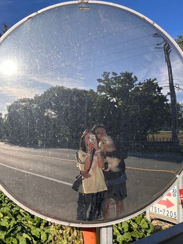 경주 편안캠핑장_24.09/ 24.10