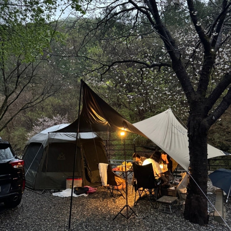 캠프1975 :: 너무 좋아서 또 오게 된 가평 캠핑장