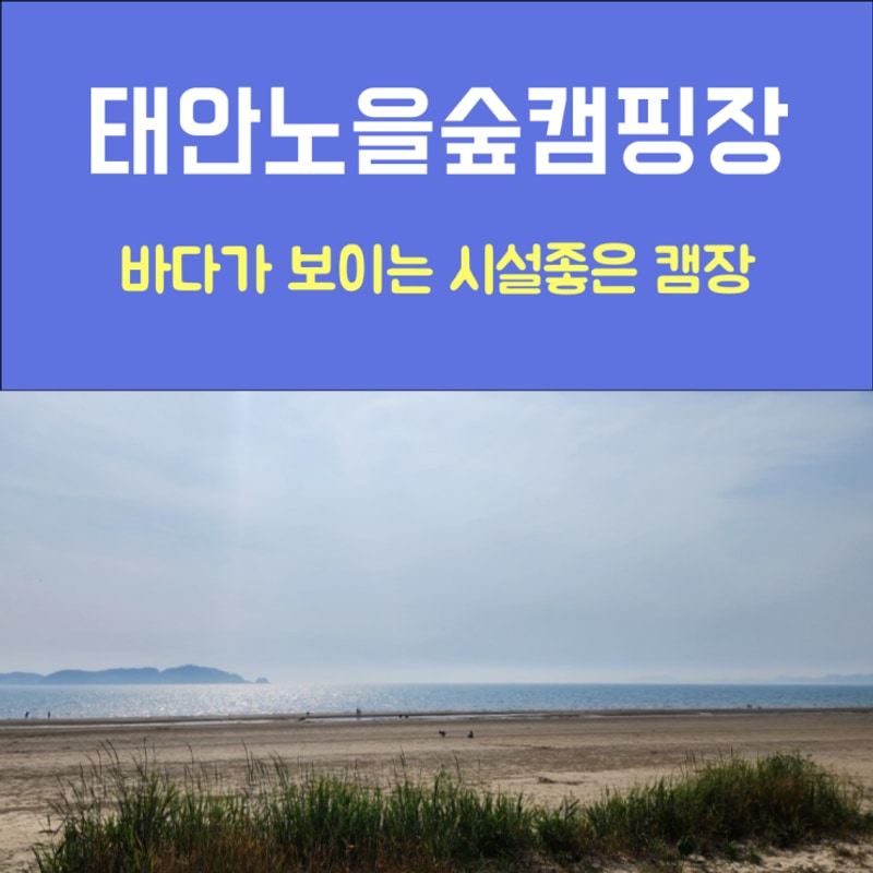 태안캠핑장 태안노을숲캠핑장 바닷가캠핑장 추천