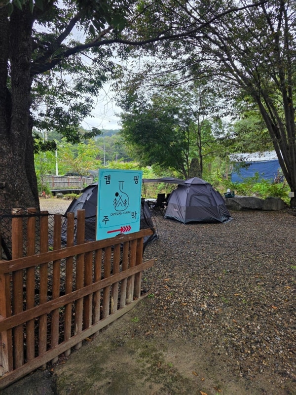 경기 여주 | 캠핑주막 후기