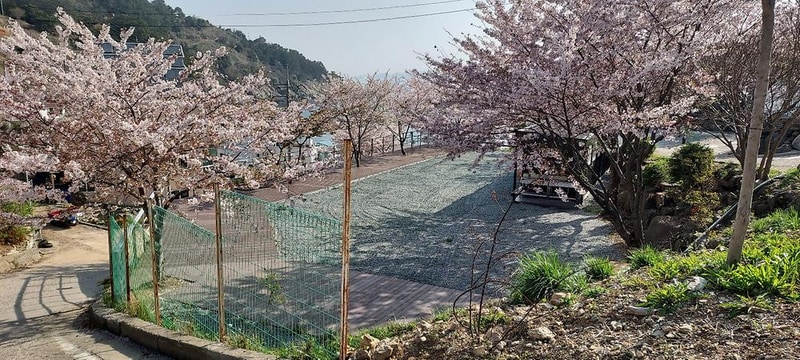 해양대국 시설 사진 2