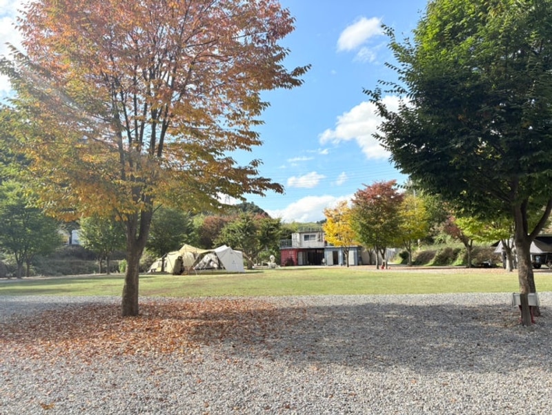 ️가평 캠핑장 추천: 캠프올모 / 할로윈캠핑