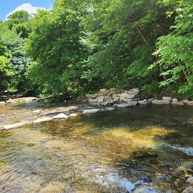 평창 별내림계곡캠핑장