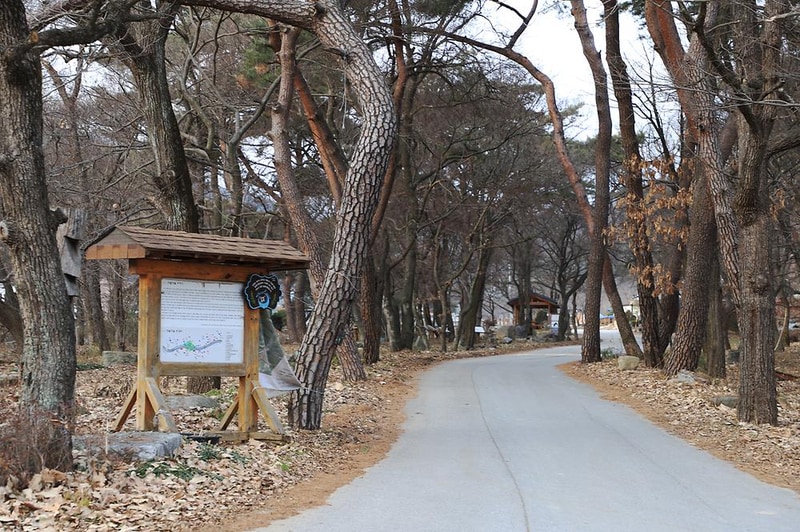 진밭골향기관광농원 야영장 시설 사진 3