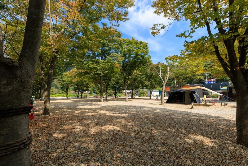 운일암개미캠핑장 시설 사진 11
