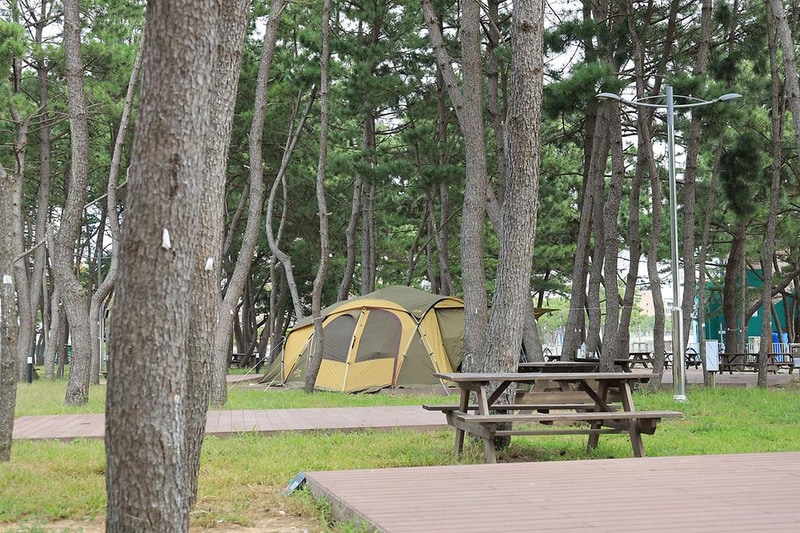 울주해양레포츠센터 야영장 시설 사진 24