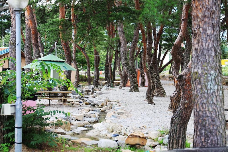 울산 힐링캠프 시설 사진 12