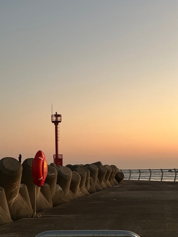 [포항 구룡포 캠핑]포항 오션뷰캠핑장 / 구룡포 사계오토캠핑장...