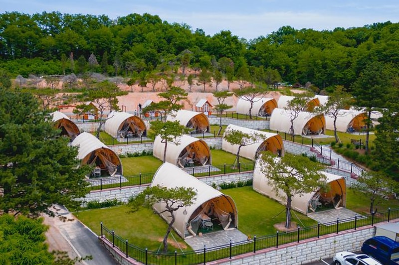 스테이 그린 대표 사진