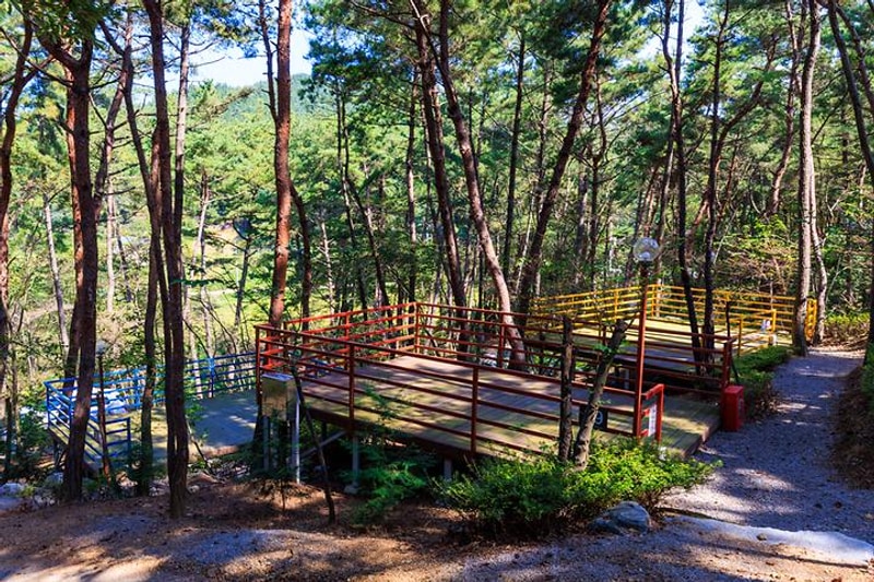 올레유 대표 사진