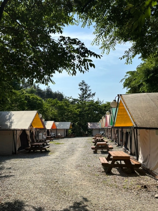 양평 캠핑장 글램핑 내돈내산 후기 (양평꿈의글램핑)