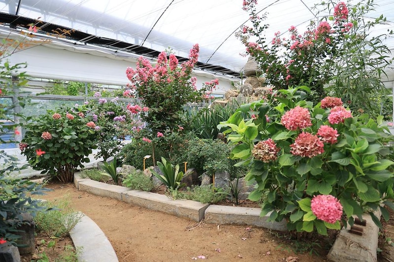 양명힐링캠프 시설 사진 21