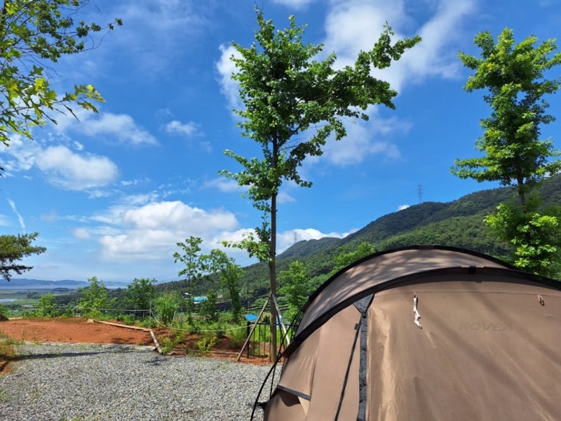 보령 대천힐링캠핑장 후기 – 깔끔한 시설과 자연이 주는 힐링...