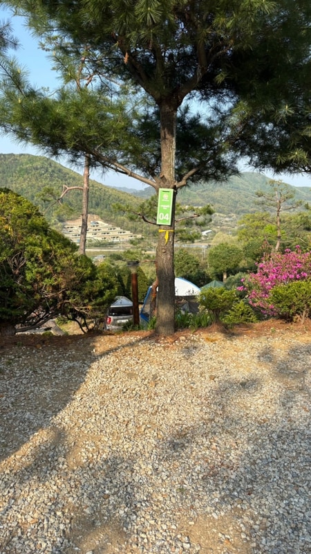 [캠핑의 계절 시작!]-#양평수목원캠핑장