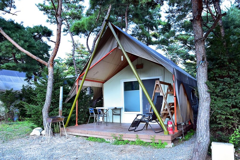 파인트리 캠핑장 시설 사진 7