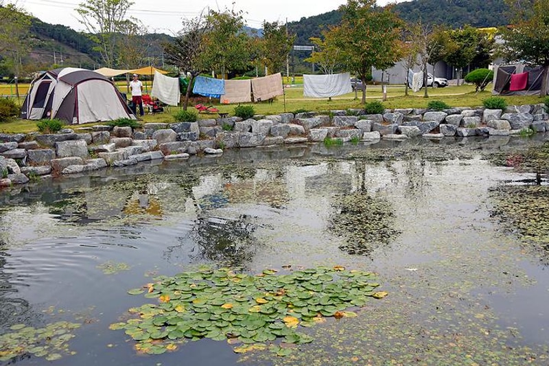 설뫼충효테마파크야영장 대표 사진