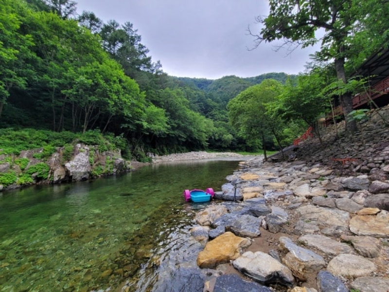 영월 김삿갓 계곡 캠핑장 2025