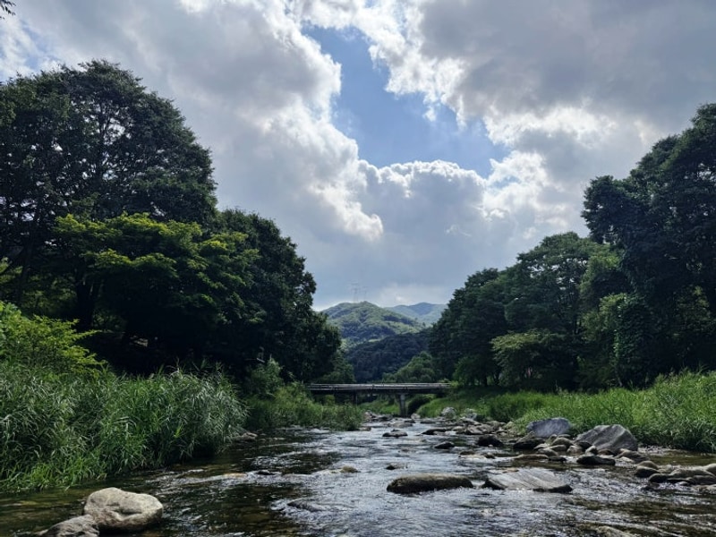 타프존의 매력이 있는 지지밸리 유명산 오토캠핑장 C5 후기