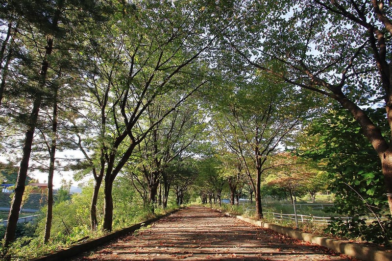 수레의산 국민여가 캠핑장 시설 사진 16