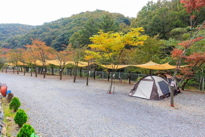 오솔길 오토 캠핑장 시설 사진 12
