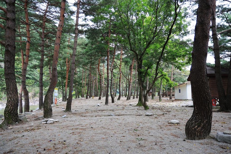 해담마을 야영장 시설 사진 7