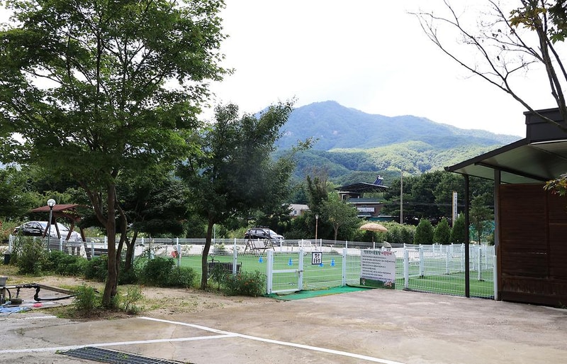 메이플글램핑 1호점 시설 사진 16