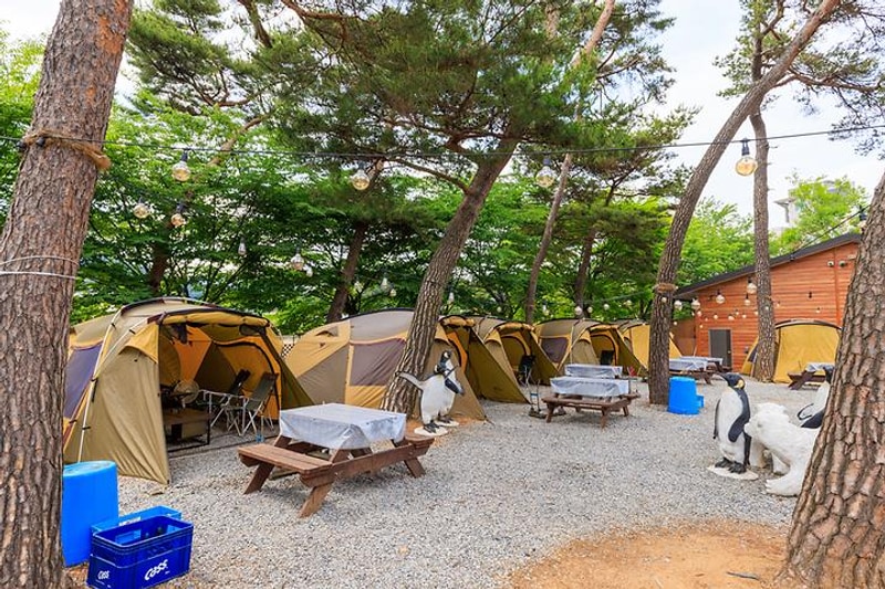 포시즌오토캠핑장 대표 사진