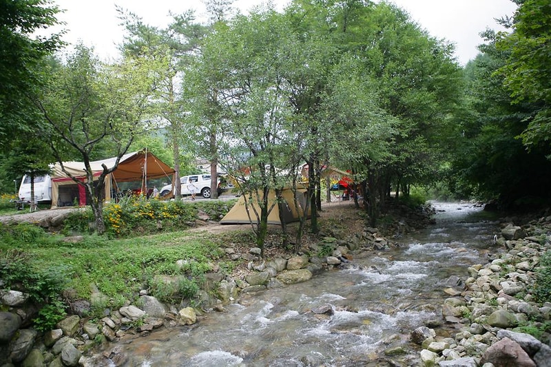 용골송어와 캠핑 시설 사진 3