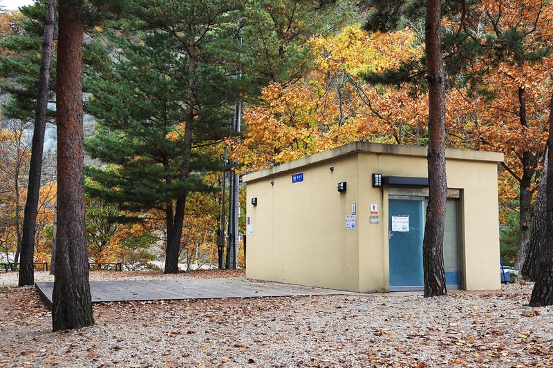 강릉 노추산 힐링캠프 시설 사진 8