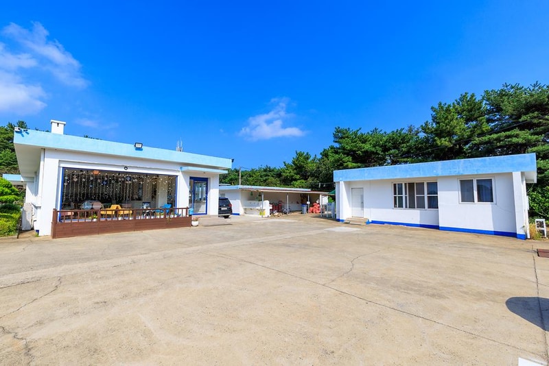 펫앤트리 시설 사진 3