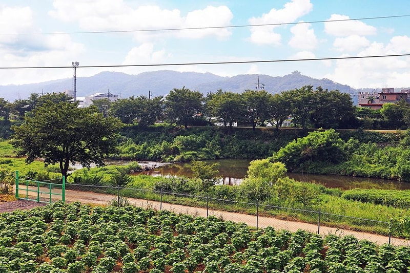 두부삼촌캠프 시설 사진 8