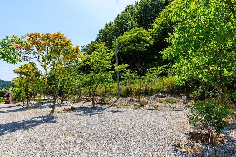 은하수 관광농원 시설 사진 11