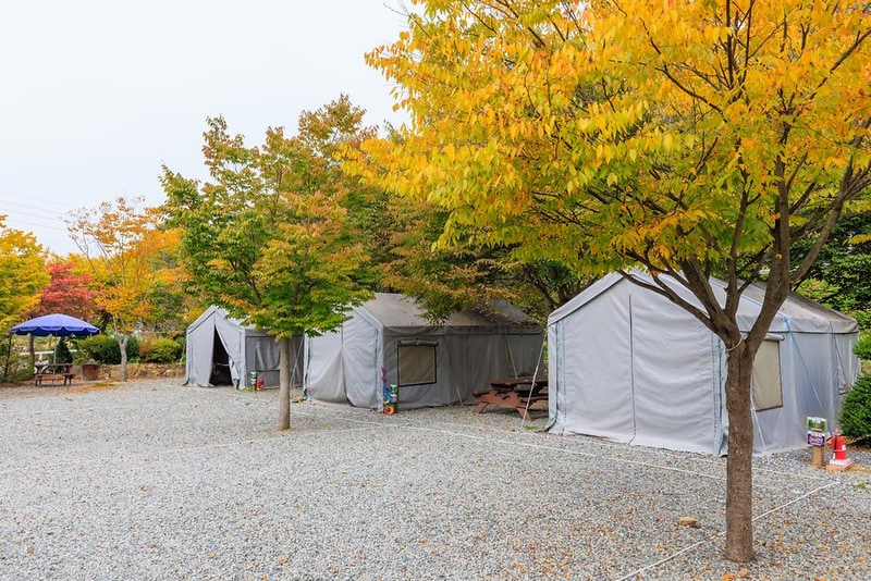 원탑캠핑장 시설 사진 17