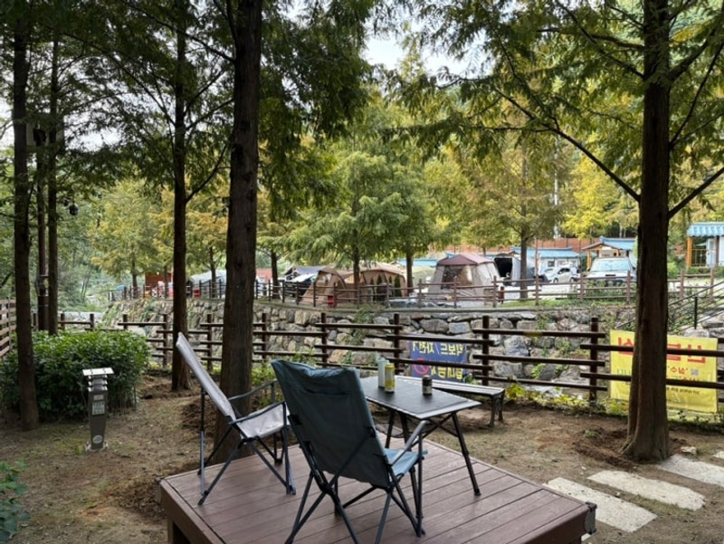 캠핑즐기기|진밭골야영장|데크206|매천시장 활새우 구매하기