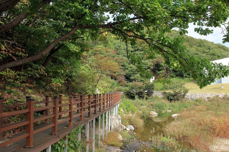 양주시 미술관옆 캠핑장 시설 사진 7