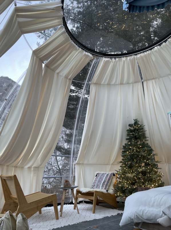 [24년 12월] 평창 여행 - 뇌운계곡 글램핑, 알펜시아 눈썰매장