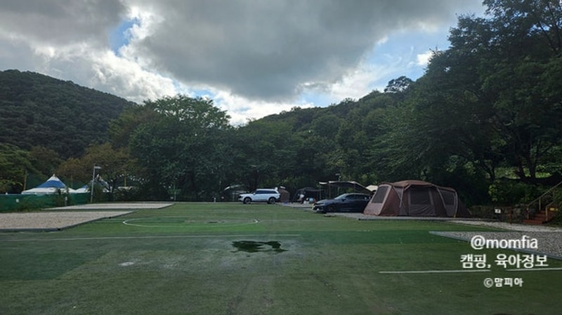 [경기도 양주 일영모자농원캠핑장] 서울 근교, 9시 입실·4시...