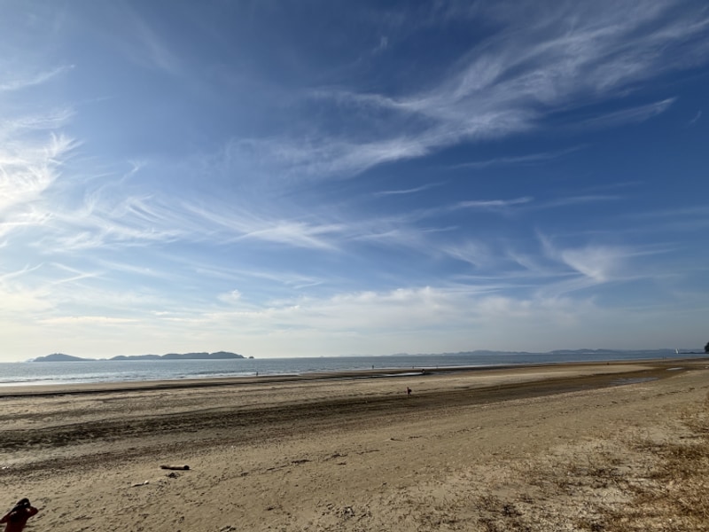 태안노을숲캠핑장