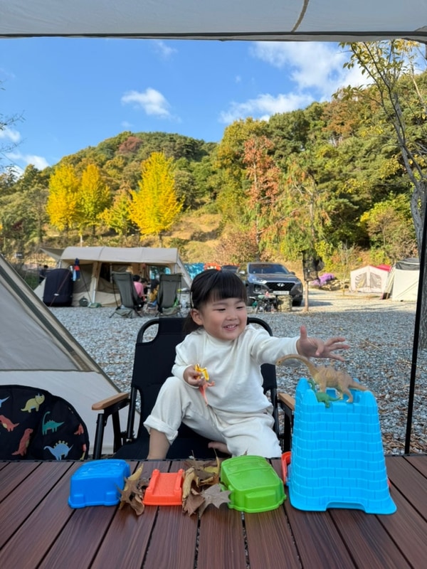 [천안/캠핑장] 몽각산 힐링뷰 캠핑장_내돈내산_사이트 및 과수...