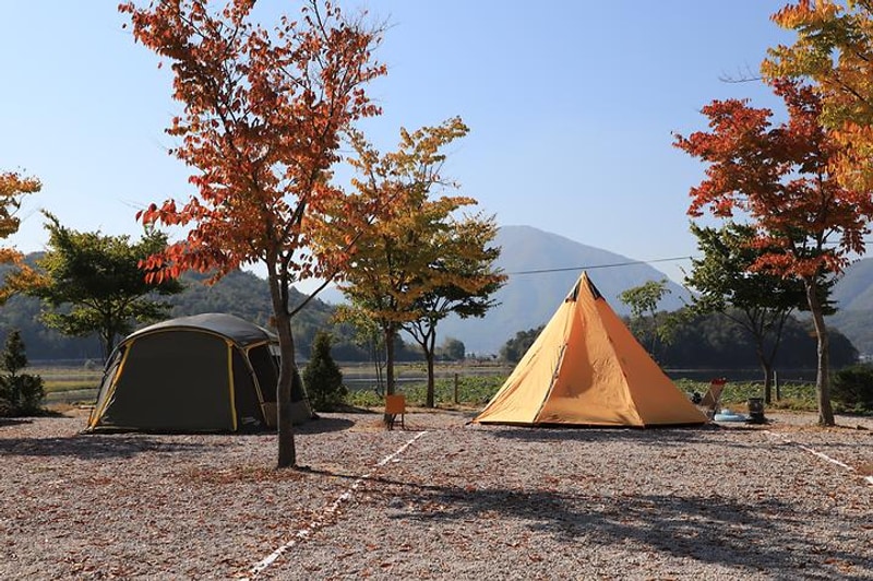 학마을캠프 대표 사진