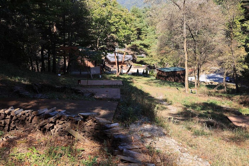 숲속행성 시설 사진 2