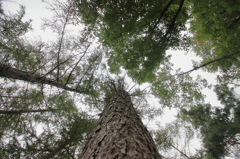 수리덤 캠핑장 시설 사진 6