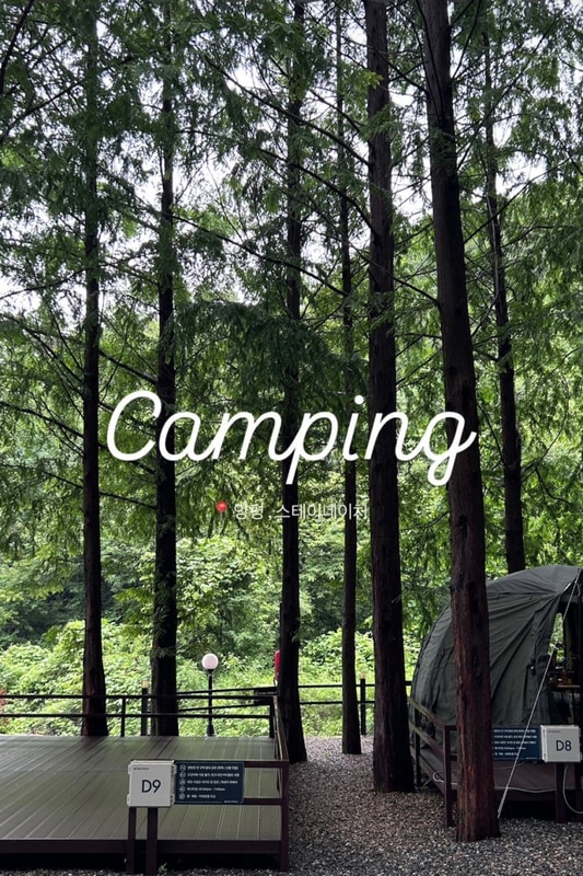 7월 캠핑, 양평 스테이네이처