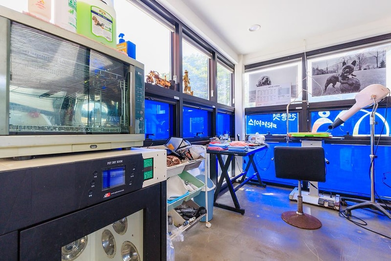 젠틀펫 파라다이스 시설 사진 6