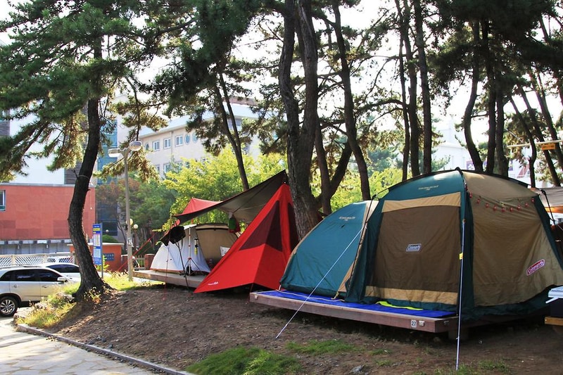 대천해수욕장 야영장 시설 사진 10
