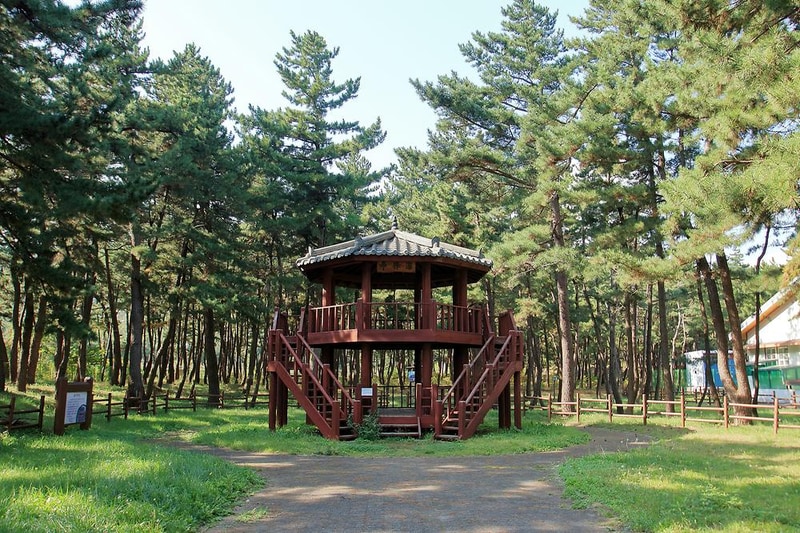 망상오토캠핑리조트 시설 사진 9